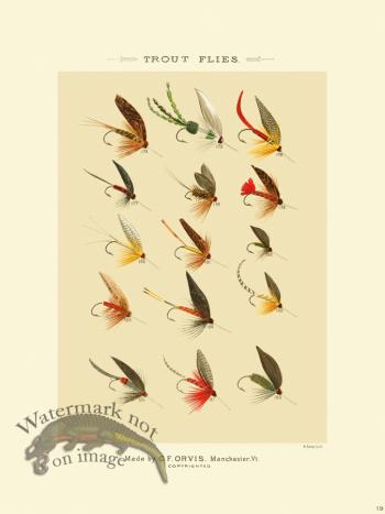 Favorite Flies 19 Trout